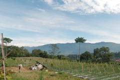 Villa Banyu Gunung Puncak Panorama