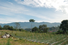 Villa Banyu Gunung Puncak