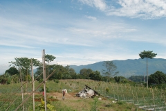 Villa Banyu Gunung Puncak2