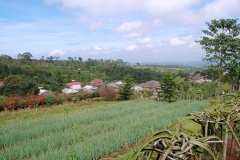 Villa Banyu Gunung Puncak29