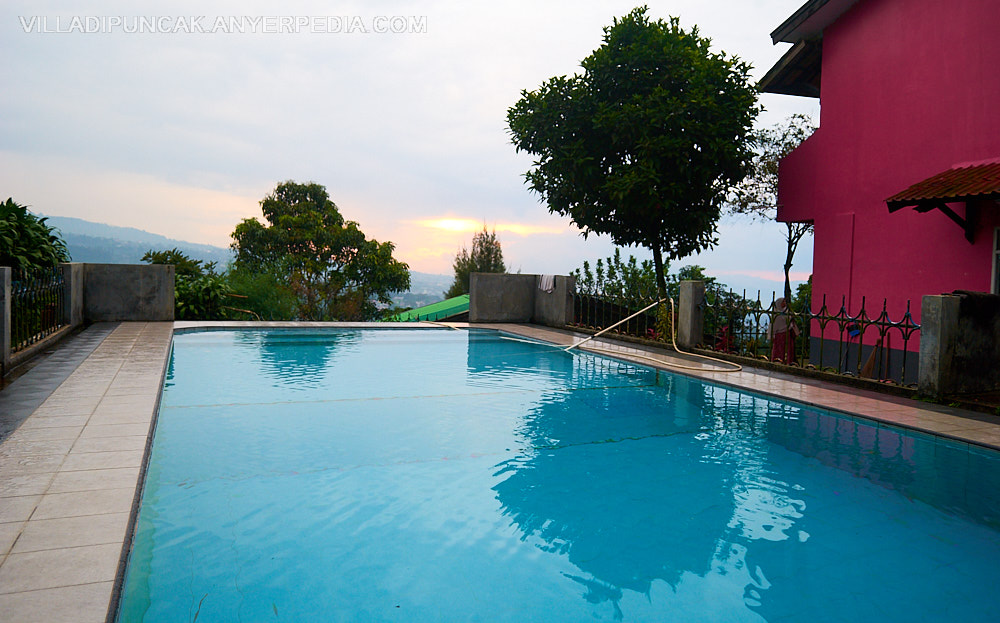 Villa Pink Tugu Utara Puncak Berenang sambil menikmati 