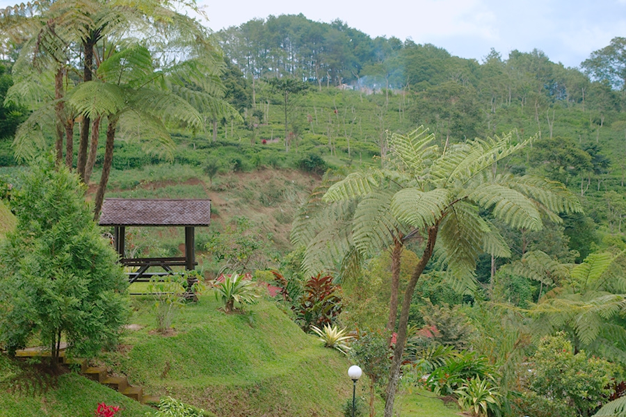  Villa  Pondok Sekar Puncak  Cisarua Kawasan Berbukit dengan 