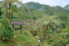 Villa Pondok Sekar Puncak27